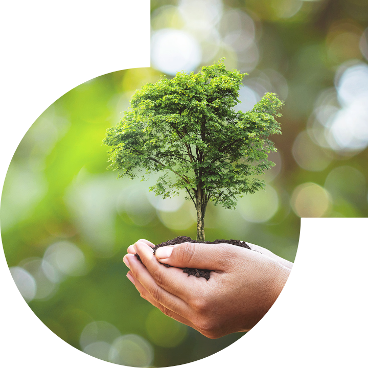 關懷人類、文化、環境與社會